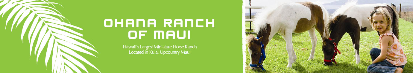 Ohana Ranch of Maui