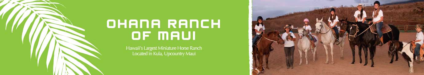 Ohana Ranch of Maui